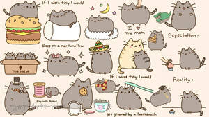 Pusheen The Cat Stickers Show The Fun Side Of The Internet's Favorite Feline Wallpaper