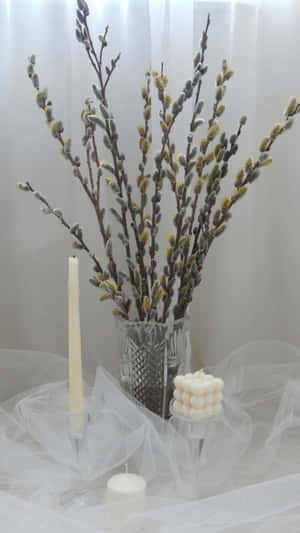 Pussy Willow Branches Arrangement Wallpaper