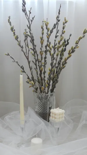 Pussy Willow Branches Arrangement Wallpaper