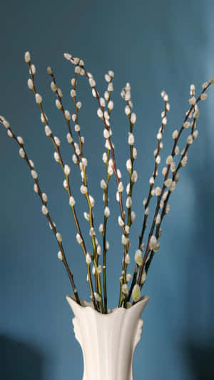 Pussy Willow Branches In Vase Wallpaper