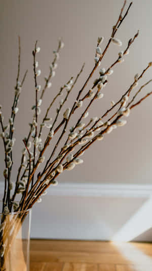 Pussy Willow Branches Vase Wallpaper