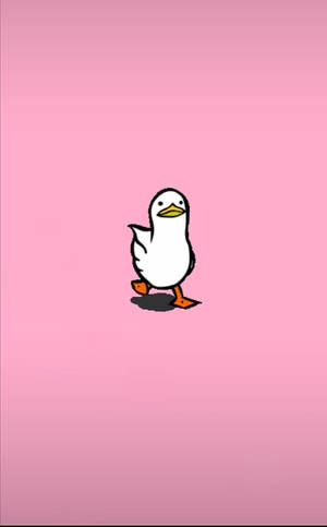 Put Down Your Phones And Enjoy The Moment! Wallpaper