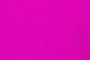 Put Some Bright Neon Pink In Your Life Wallpaper