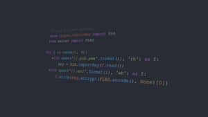 Python R S A Encryption Code Snippet Wallpaper