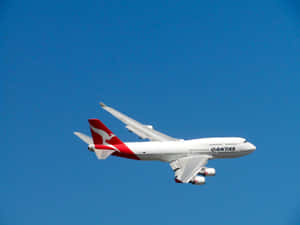 Qantas Airlines Plane 4k Ultra Hd Wallpaper