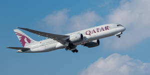 Qatar Airways Flying In The Sky Wallpaper