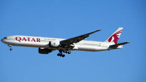 Qatar Airways Isolated In A Blue Backdrop Wallpaper