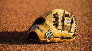 Quality Baseball Gloves Lined Up On Display Wallpaper