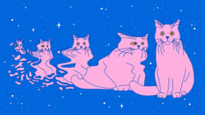 Quantum_ Cats_ Illustration Wallpaper