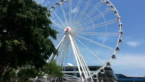 Queensland Wallpaper