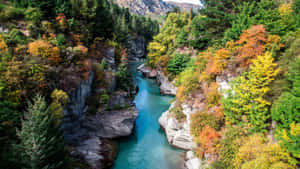 Queenstown Autumn River Gorge Wallpaper