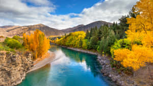 Queenstown Autumn River Scenery Wallpaper