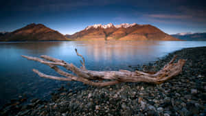 Queenstown Lake Wakatipu Sunset Wallpaper