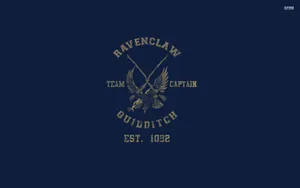 Quidditch Ravenclaw Team Wallpaper