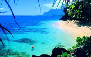 Quiet Tropical Ocean Wallpaper