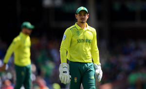 Quinton De Kock In Yellow Green Wallpaper