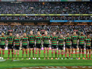 Rabbitohs Wallpaper