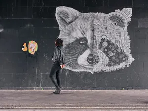 Raccoon And Woman Urban Art Wallpaper