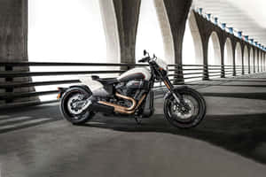 Race Ready Hd Motorcycle Wallpaper