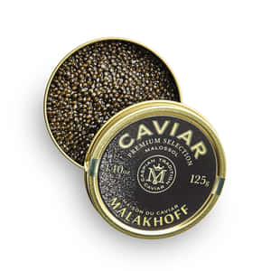 Race Winner Black Caviar Wallpaper