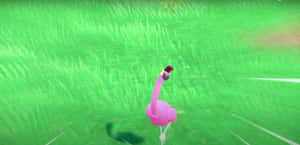 Radiant Flamigo Pokemon Emits Battle Cry Wallpaper