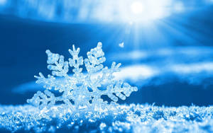 Radiant Snowflake Wallpaper