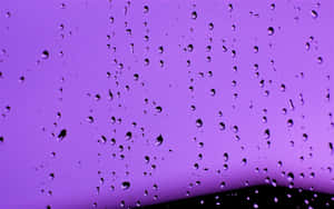 Rain Drops On A Window Wallpaper