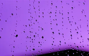 Rain Drops On A Window Wallpaper