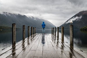 Rain Nature Wooden Dock Wallpaper