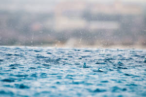 Rain On Water Full Screen Desktop Wallpaper