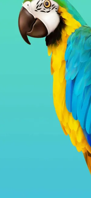 Rainbow And Clouds Over The City Wallpaper