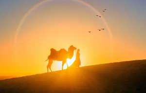 Rainbow Around Desert Sun Wallpaper