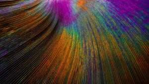 Rainbow Feathers In 4d Ultra Hd Wallpaper