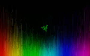 Rainbow Lines Razer Wallpaper