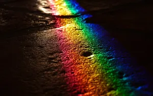 Rainbow On Ground Pride Desktop Wallpaper
