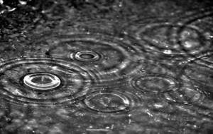 Raindrop Ripples Most Beautiful Rain Wallpaper