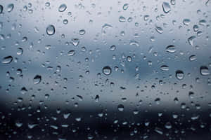 Raindropson Glass Texture Wallpaper