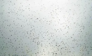 Raindropson Glass Texture Wallpaper
