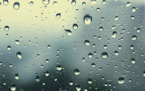 Raindropson Glass Texture Wallpaper