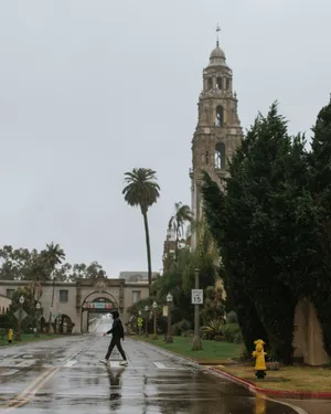 Rainy Day At Balboa Park Wallpaper