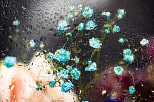 Rainy Floral Reflections.jpg Wallpaper