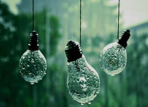 Rainy Green Lightbulbs Aesthetic.jpg Wallpaper