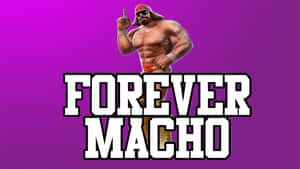 Randy Savage Forever Macho Wallpaper