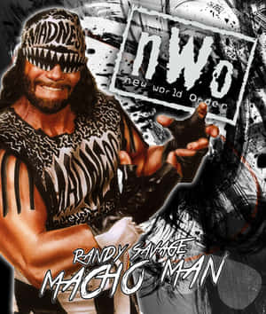 Randy Savage New World Order Wallpaper