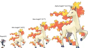 Rapidash_ Size_ Comparison_ Chart Wallpaper