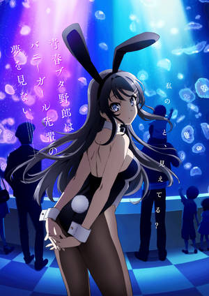 Rascal Does Not Dream Of Bunny Girl Senpai Cute Costume Wallpaper