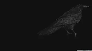 Raven Text Collage Art Wallpaper