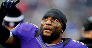 Ray Lewis Baltimore Ravens Intensity Wallpaper