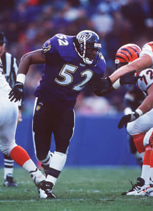 Ray Lewisin Action Baltimore Ravens Wallpaper