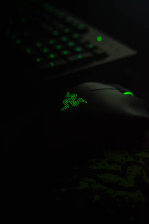 Razer Mouse & Keyboard Wallpaper